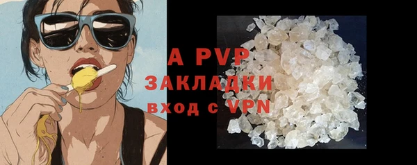 стаф Беломорск