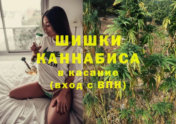 ECSTASY Белокуриха