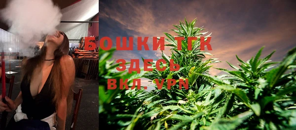 ECSTASY Белокуриха