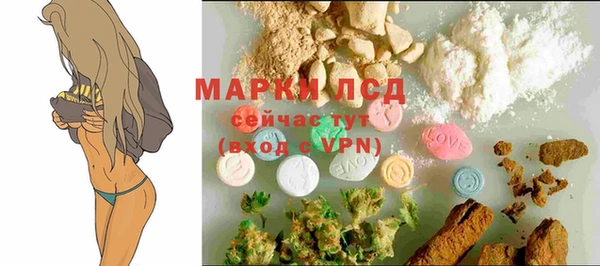 стаф Беломорск