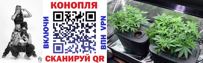 Канабис план  даркнет сайт  Железноводск 